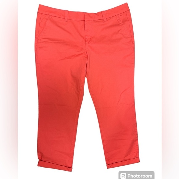 Stylus Dubarry Coral Chino Straight Leg Pant Cotton/Spandex Size 16 NWT - Picture 4 of 11